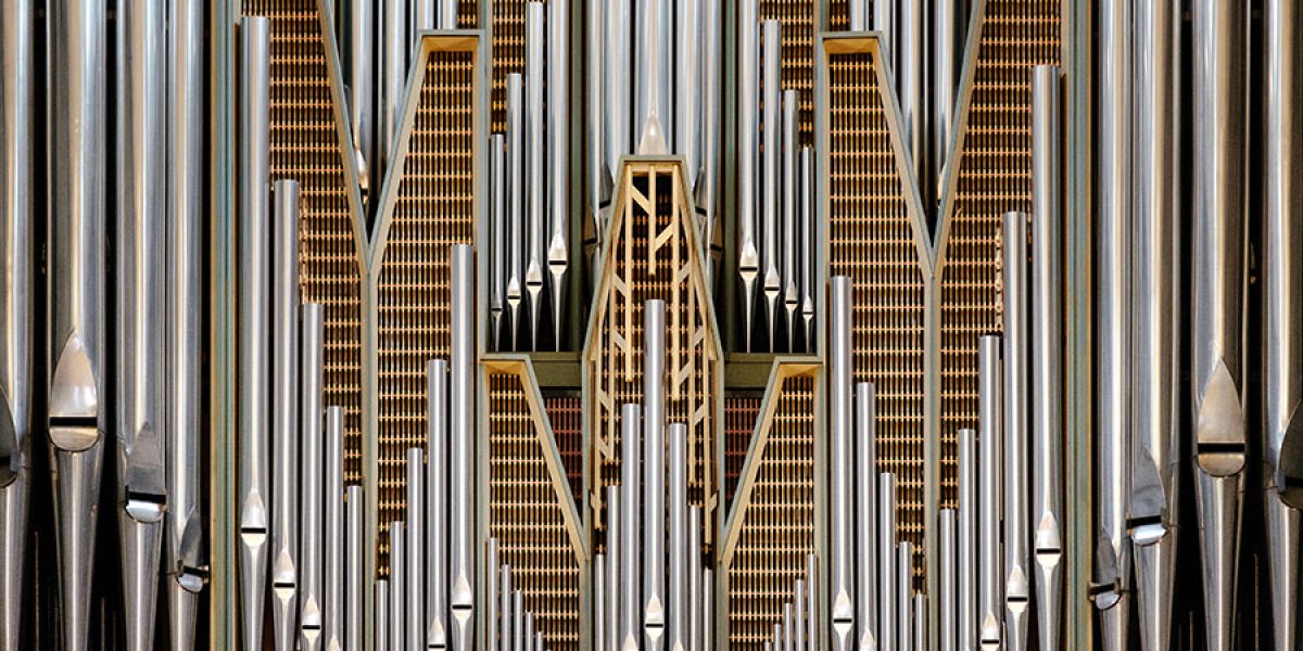 Musical organ