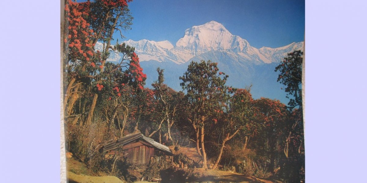 The Annapurna Range