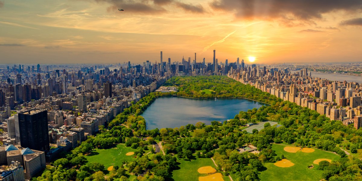 photo of central park