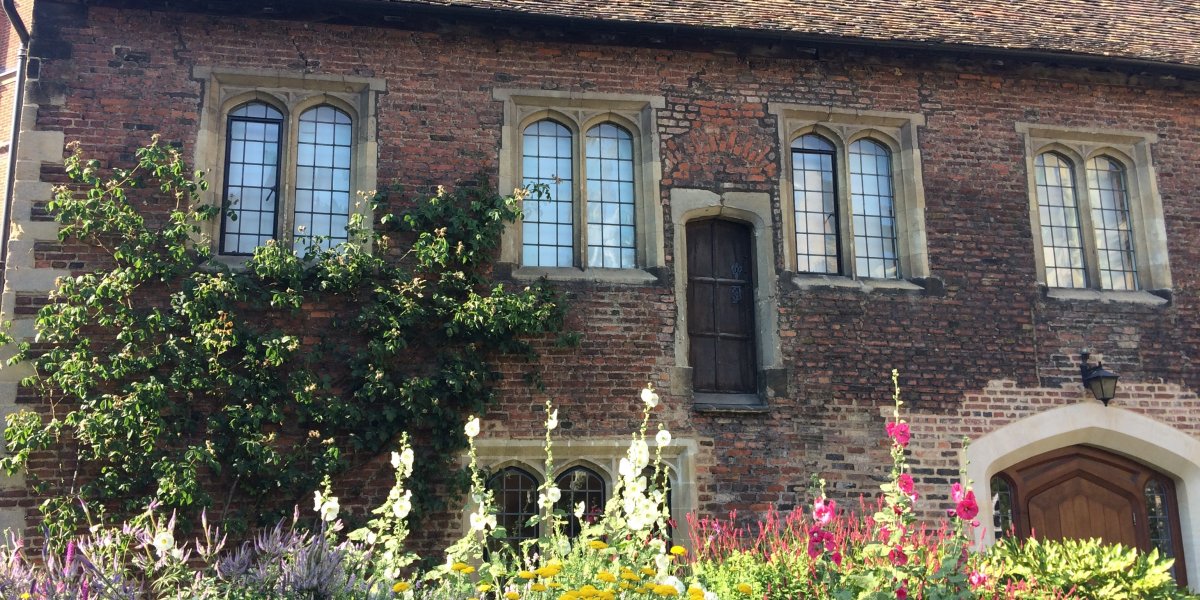 Outside of Trinity Hall building with summer flowers