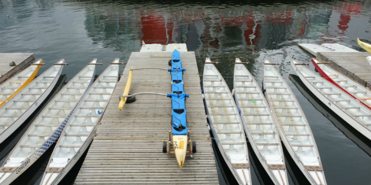 Rowing Boats 