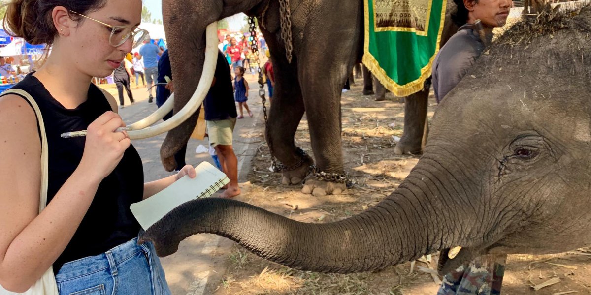 Alisa Santikarn interviewing an elephant