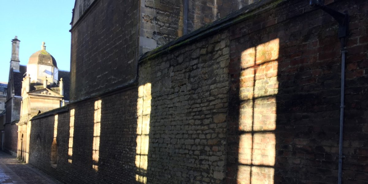 Senate House windows