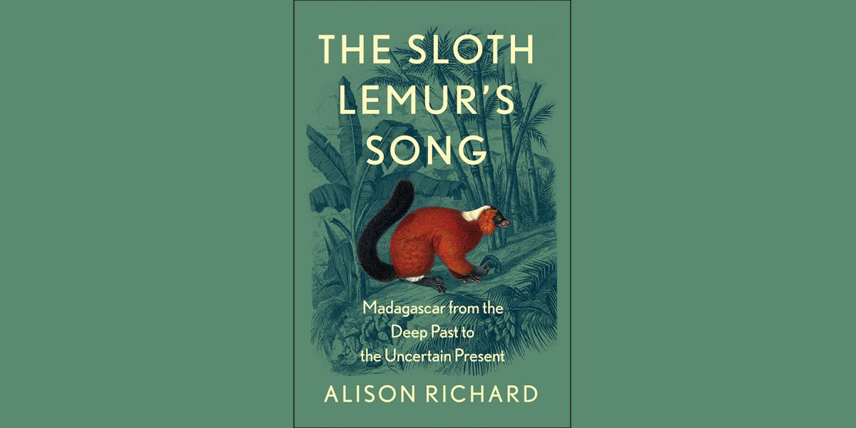 Book cover of Sloth Lemur