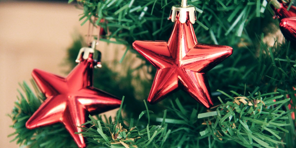 Two red star shaped ornaments adorn a Christmas Tree
