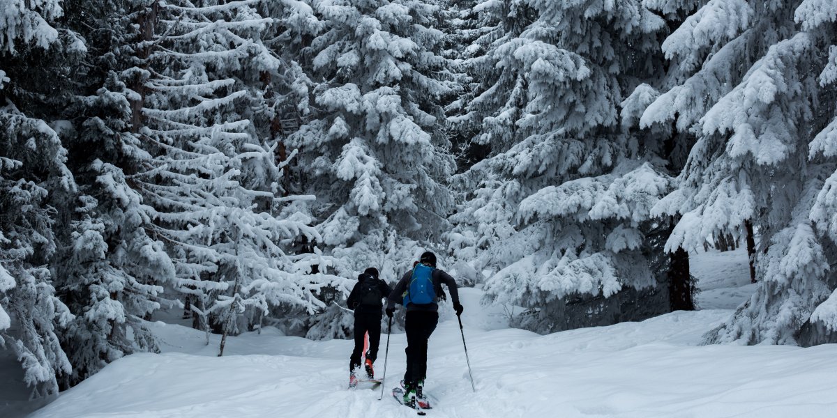 Skiing