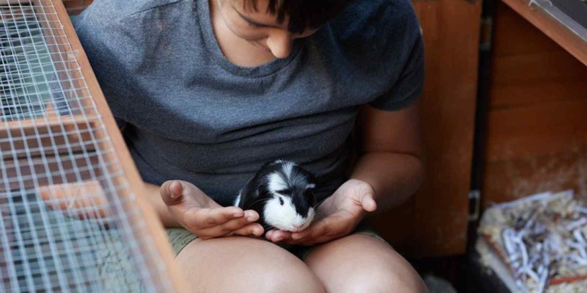 Children holding a guinea pig