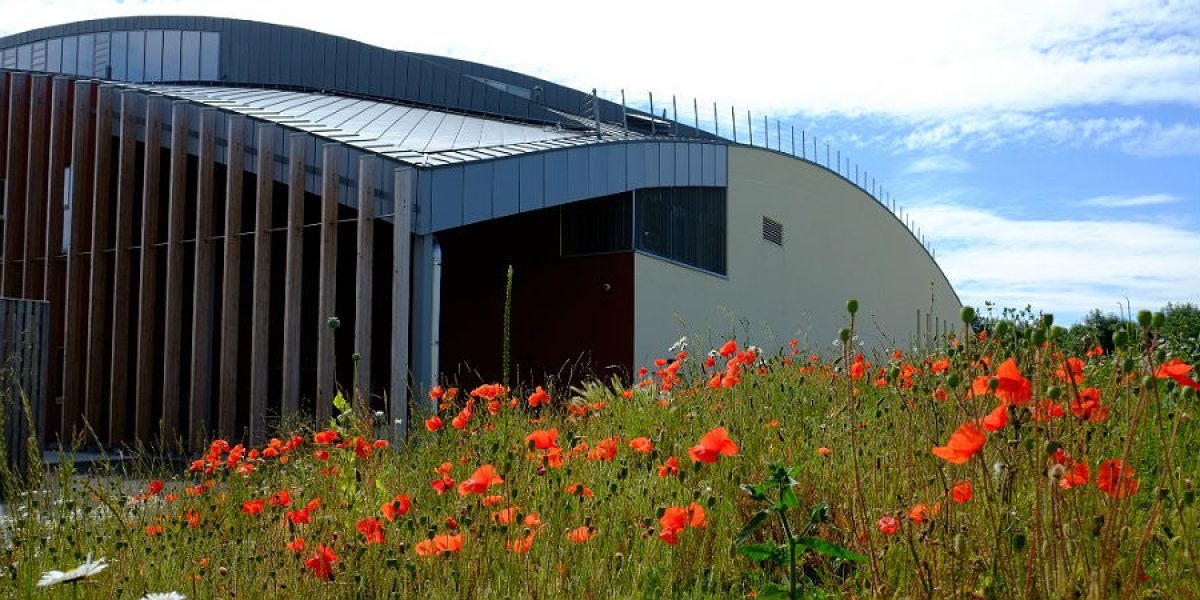 Sports Centre exterior in summer