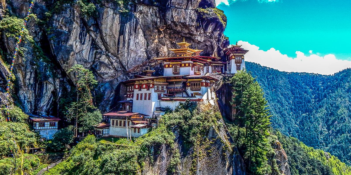 Paro Tigers nest