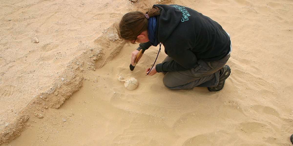 Amarna excavation site
