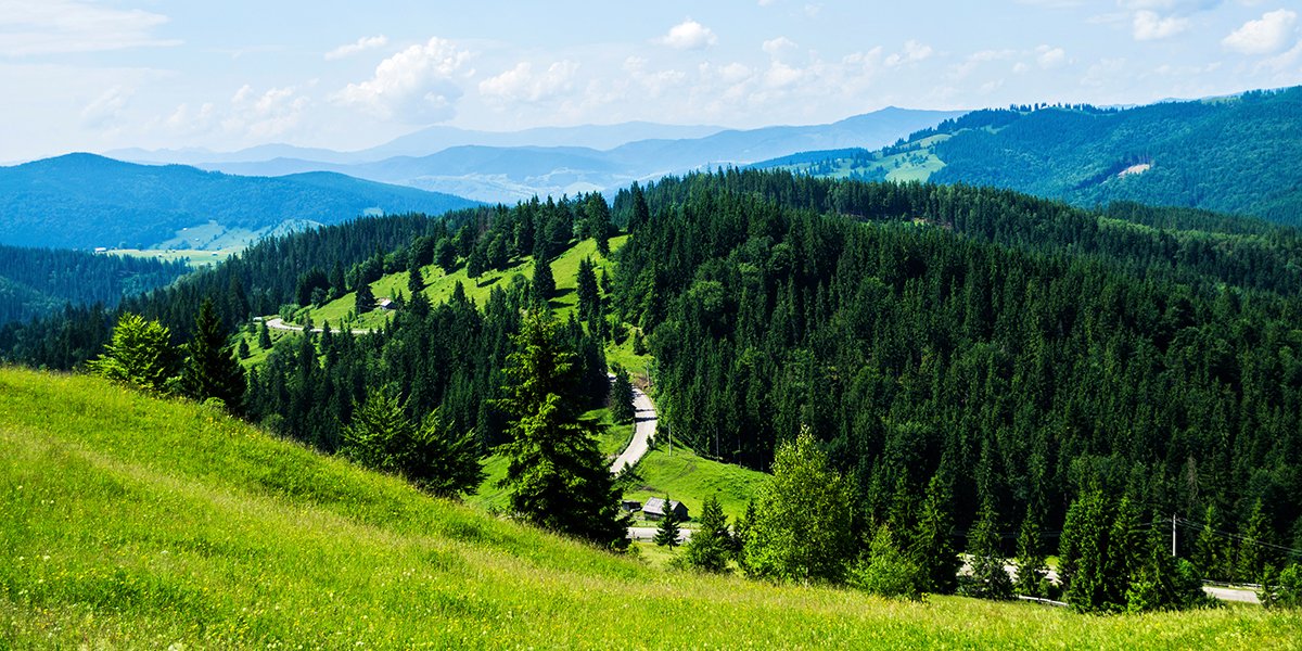 bucovina palma pass