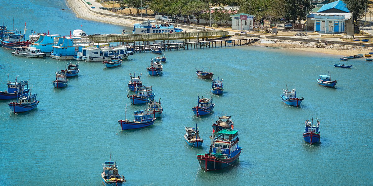 Vin Hy Bay