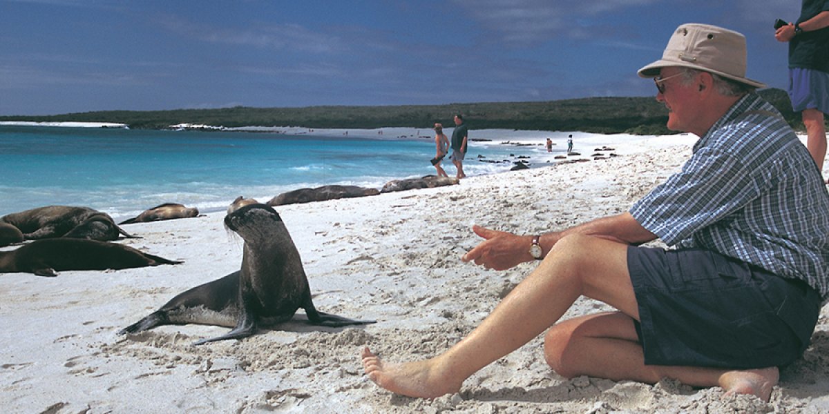 Tourist on the beach with Sea Lions