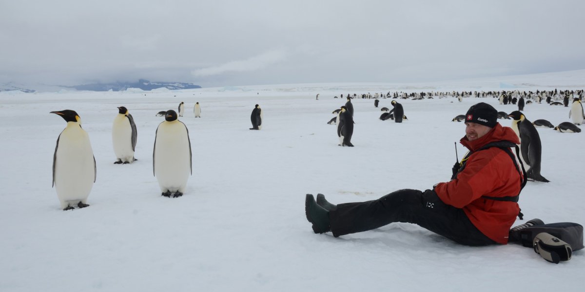 Observing the emperor penguins