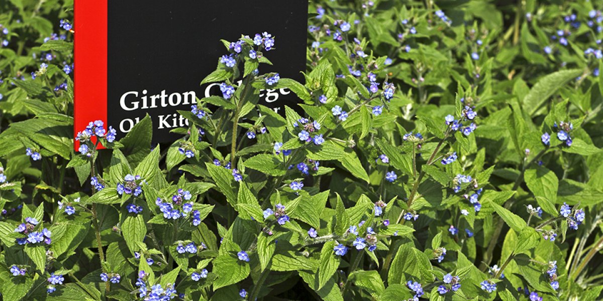 Girton College sign