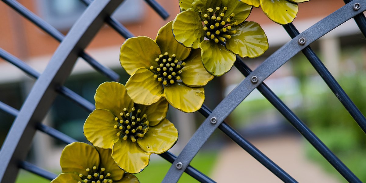 Flowers on gate 