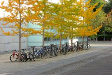 Faculty of Law bikes