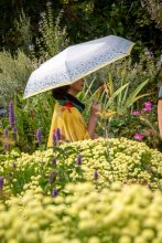 Botanic Gardens