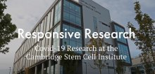 Stem Cell Institute