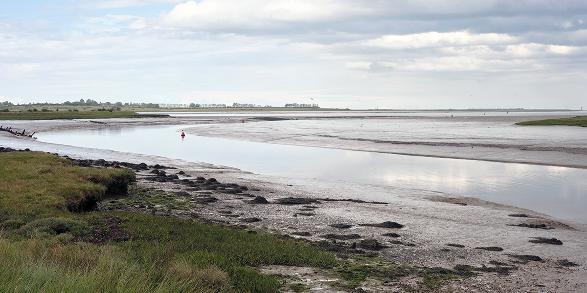Saltmarsh is one of the most effective habitats in the UK for storing carbon (with 40 times the storage potential of tropical fo