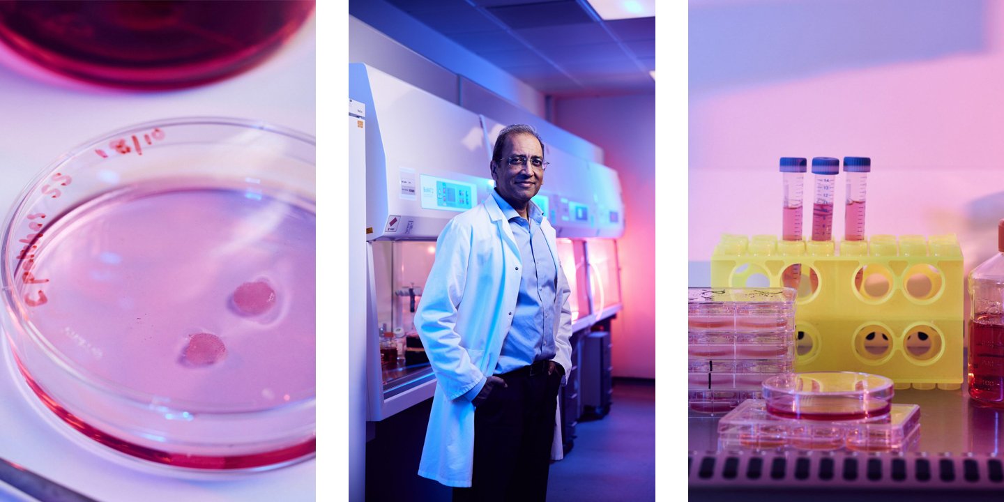 Professor Sanjay Sinha